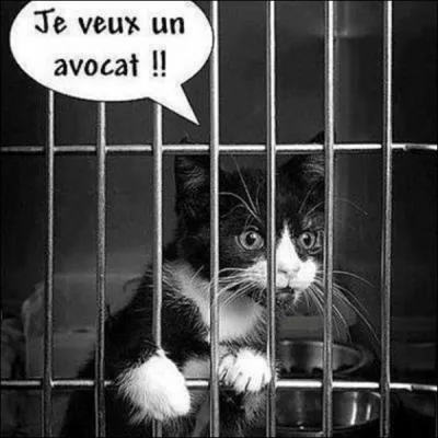 Parmi ces cinq noms  connotation fruite, lequel n'est pas un mtier ?