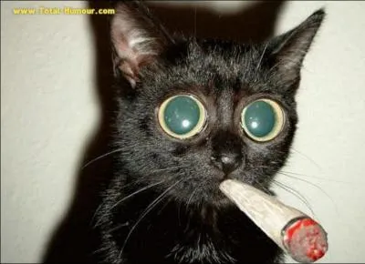 Parmi ces quatre noms, lequel ne concerne en rien le fumeur de joints ?