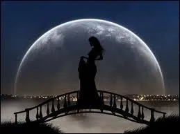 A qui sont les paroles "Mon amour oublie que je t'aime" ?