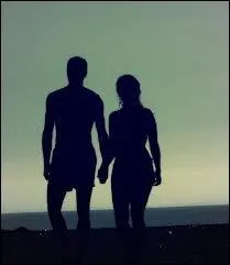 Qui chantait "Je sais que tôt ou tard tu voudras bien sortir un soir en camarade avec moi ... . c'est là que je gâcherai tout en te disant ces mots stupides Je t'aime" ?