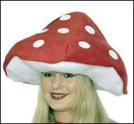 Qui porte ce chapeau rouge ?