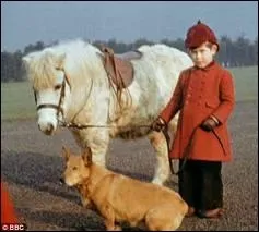 Qui porte ce casque rouge ?