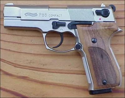 Quelle est cette arme ?