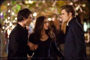 Stefan est le frre... de Damon.