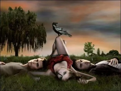 Damon est le frre... de Stefan.