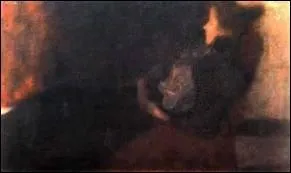 Qui a peint  Dame  la chemine  ?