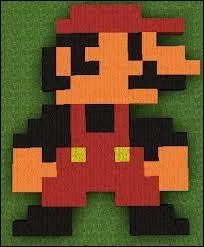 Quel est le nom du plombier le plus connu du monde ?