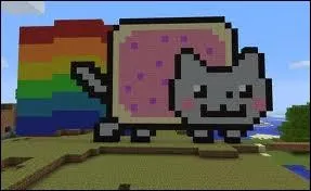 Quel est le nom de ce chat clbre sur internet ?