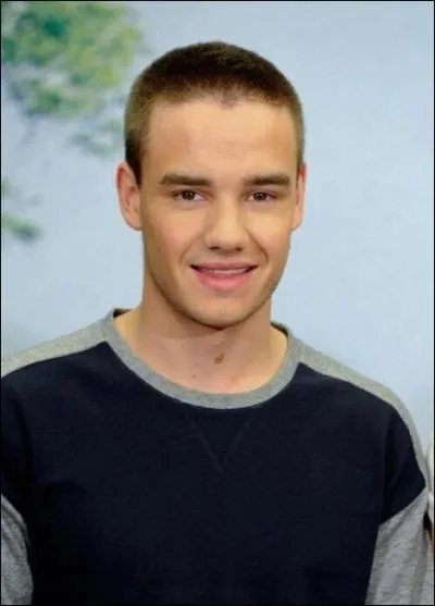 Quelle couleur dteste le plus Liam ?