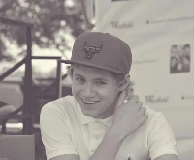 Quelles taient les matires prfres de Niall  l'cole ?