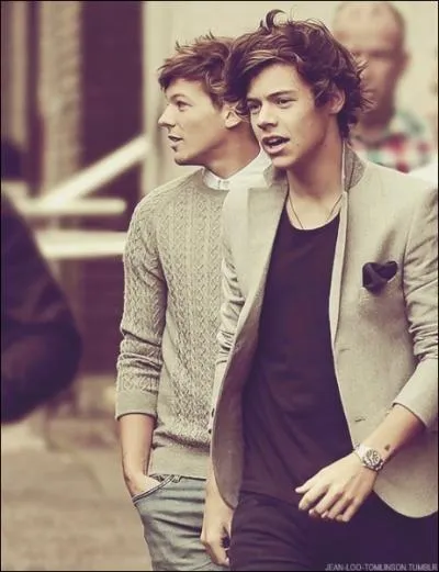 Qui est la cible de toutes les mauvaises blagues de Harry et Louis ?