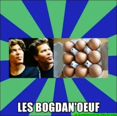 Igor et Grichka, nos jumeaux extraterrestres de la tl,  ne pas confondre avec un produit alimentaire ...