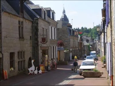 Vous avez dcid d'aller  Villedieu-les Poles, dans quel dpartement devez-vous aller ?