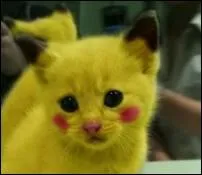 Pikachu existe !