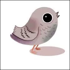 Oh, un rouge-gorge !