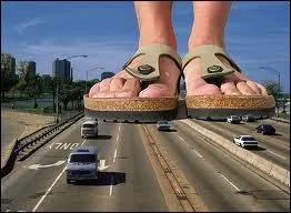 Cette souveraine franaise fut surnomme expressment  Au(x) grand(s) pied(s) . C'est ?