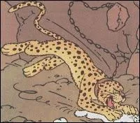 Quel est son prnom ?