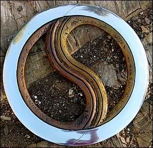 Quel est cet objet ?