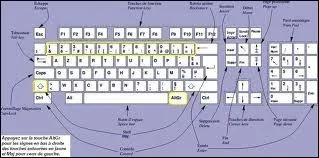A quoi correspondent les raccourcis Ctrl+Z et Ctrl+C ?