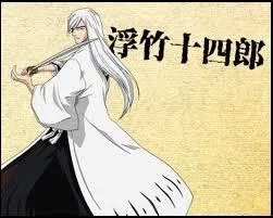 Le Zanpakuto d'Ukitake est double, vrai ou faux ?
