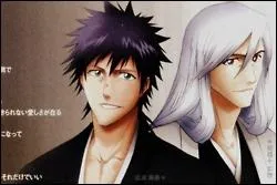 Comment s'appelle le vice-capitaine d'Ukitake ?