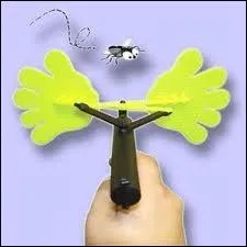 On fait dfiler les images, on survole les pyramides, on nage avec les dauphins, et tout  coup le grain de riz tout noir zigzague  mort sur l'cran de l'ordinateur comme le pointeur d'une souris folle et pinte