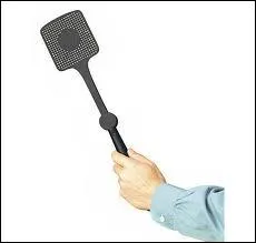 Fatigu, on ouvre son lit, on tapote, a sent bon la lavande, et soudain une forme gigantesque plie aux genoux s'est colle au mur et fait le mort. Bon, a ne pique pas, mais si jamais celle-ci tait bagarreuse