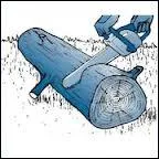 C'est les vacances, il fait doux, il fait soleil, a sent l'anis, la lavande et le citron, on se roule dans l'herbe et au fond le choeur bien en mesure des animaux dots de cymbales se fait entendre