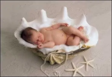 Durant son dveloppement l'hutre passe par plusieurs stades. Comment se nome le dernier avant la taille adulte ?