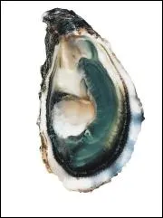 L'hutre fine de claire verte A. O. C Marennes (label rouge) doit la couleur des ses branchies  l'ingestion en claire de :