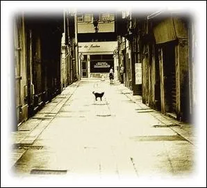 Situ au bas de la vielle ville,  la sortie de l'arsenal, lieu privilgi des sorties nocturnes, quel nom tait donn dans les annes 50  ce quartier  mal fam  de Toulon ?