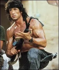 Lequel de ces films n'appartient pas  la filmographie de Sylvester Stallone ?
