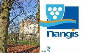 Connaissez-vous le nom des habitants de Nangis ?
