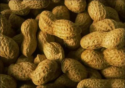 Courez immdiatement dans votre cuisine ! Y tes-vous ? Parfait, maintenant, sans gestes brusques, vrifiez si vous avez des cacahutes. Si oui, alors vous tes en danger ! Pourquoi ?