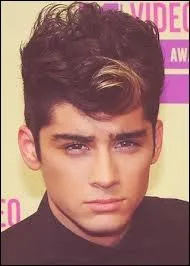 Qui a fait la mche blonde de Zayn ?