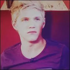 Quelle chanson a chant Niall lors des auditions de X Factor ?