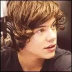 Quelle est la couleur prfre d'Harry ?