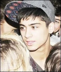 Quelle est la couleur prfre de Zayn ?