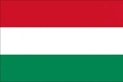 De quel pays les Magyars sont-ils les habitants ?