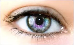 Comment dit-on  voir  ?