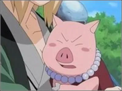 On n'a jamais vu Ton Ton livrer de combats.