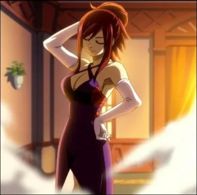 Quelle est cette armure ?