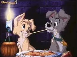 Quel est le titre de ce film ?