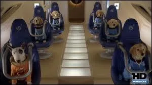 Quel est le titre de ce film ?