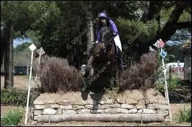 Comment s'appelle cet d'obstacle ?