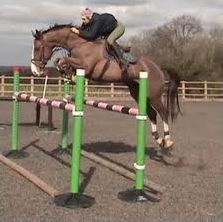 Quiz Equitation