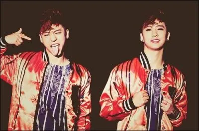 Le lapin de Bang Yong Guk est de couleur :