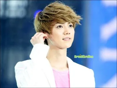 Luhan (EXO) ne supporte pas :