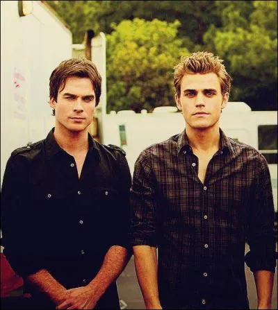 Quel est le nom de famille de Stefan & Damon ?