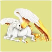 Ce cheval a reu quel objet ?